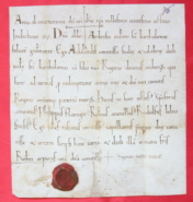Una delle 530 Pergamene dell'Arca Magna